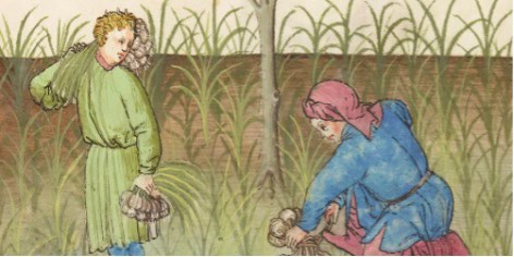 La diététique au Moyen Âge, entre médecine et alimentation